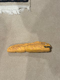 Clay Eel Model